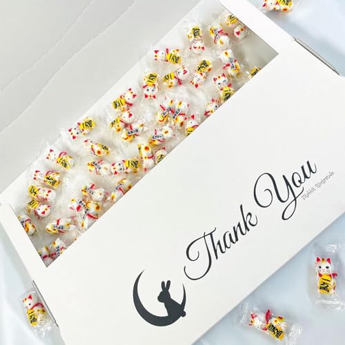 Iׂ `R[g{[ 500g 150 `R{[ v[g َq v`Mtg ii Cxg ei    lߍ킹 Ɩp p ``R i o^C zCgf[ Ԃ E 7RabbitRiogra