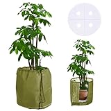 DEWUR Thermo Topfschutz für Pflanzen in Aussenbereichen, doppelt isoliert, Winterschutz für Kübelpflanzen vor Frost und Nässe, mit Drainage (Grün, 45x50cm)