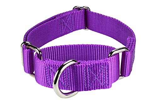 Mikivery Martingale Dog Collar Nylon Adjustable And Safety Training Colourful Comfortable Metal Buckle Pet Collars For Small Medium And Large Dogs(Purple,M) #TOP4