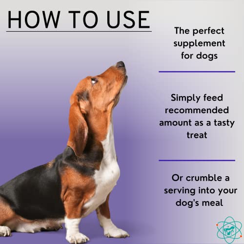 Pet Care Sciences Bladder Strength Approx 55 Chews - Natural Dog Uti Treatment - Kidney Support For Dogs - Dog Cranberry Supplement - Senior Dog Incontinence Supplements - Made In The Usa #TOP2