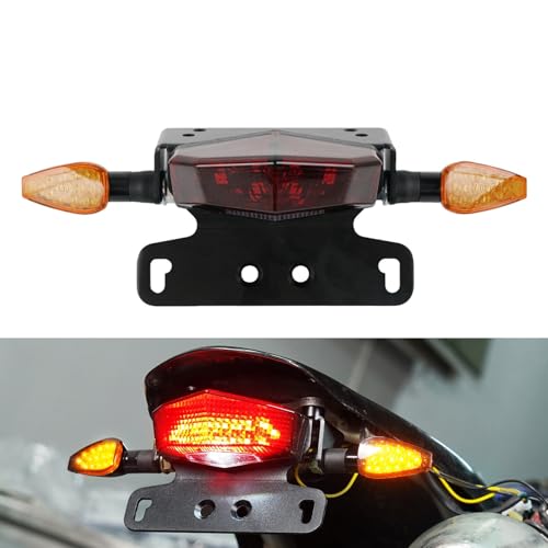 Feu stop arrière DRZ400S clignotants LED et support plaque