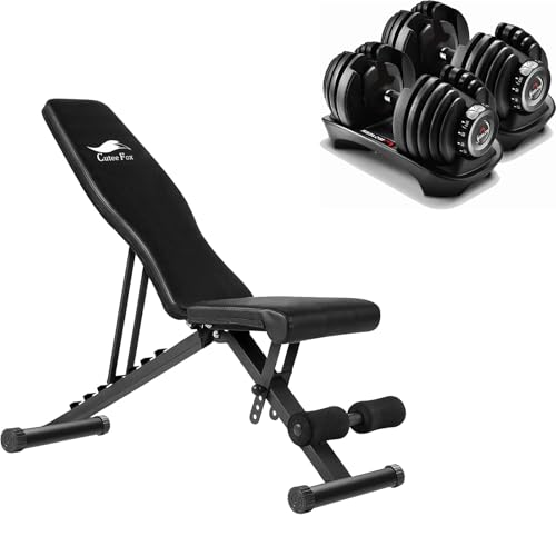 ���i �g���[�j���O�x���`�{�ώ� �_���x�� 24kg �A�W���X�^�u���_���x�� 2�Z�b�g 2.5�`24kg 15�i�K���� 5�b�ŏd�ʒ��� �N�C�b�N�_���x�� �؃g�� Z01 (����, �X�^�C��-A)