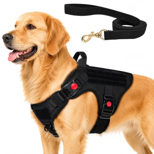 Image of Customized Tactical Dog Harness with Leash | Dog Training Belt with Name | Adjustable Size for Medium Dogs | Recommended for 15-25 Kg Pet (Black, M)