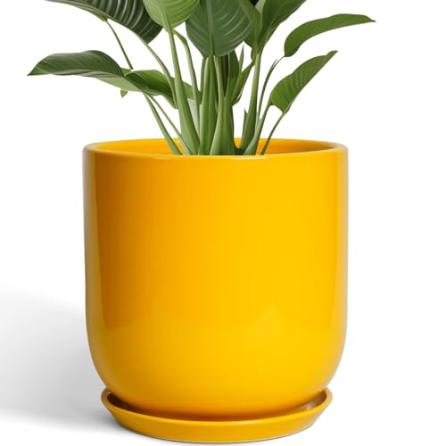 12-Inch Ceramic Plant Pot with Drainage
