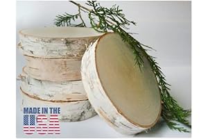 Wilson Birch Slices/Disks: Nature's Canvas for Your Artistic Expression