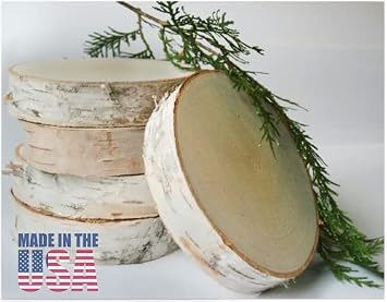 Wilson Birch Slices/disks 4-6 inch Dia. 1 inch Thick (Pack of 5)