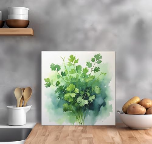 Peinture aquarelle coriandre : impression sur toile 70x70cm
