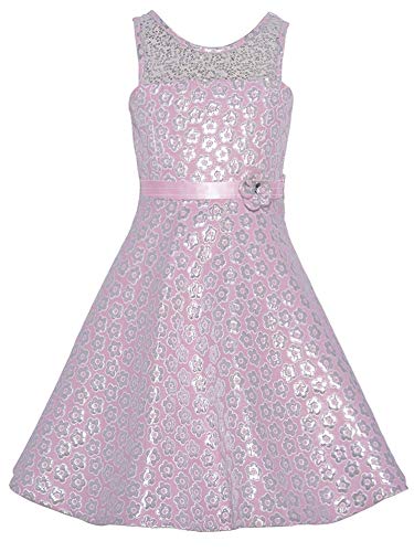 Bonnie Jean Big Girls Illusion Floral Brocade Fit Flare Dress - Special Occasion Social Party Wedding Flower Girl Easter Holiday, Illusion Floral Brocade/Pink Silver, 122