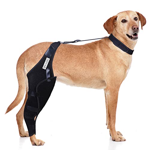 Image of Dog Knee Brace for ACL, Knee Cap Dislocation, Arthritis - Full Wrap - Easy Adjustable - Extra Support - Reduces Pain and Inflammation - Full Sizes