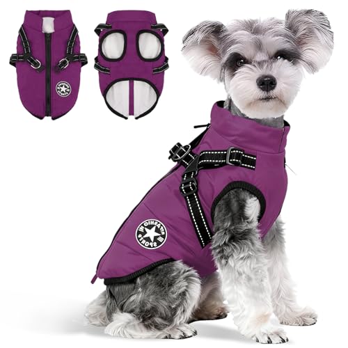 Anzentakai  ~y2025N~̓ozy ȕR[g n[lXt wJ   Ԕ g ybg L   ~ EȒP N ̕ xXg h h  WPbg [hO ^ ^ ^