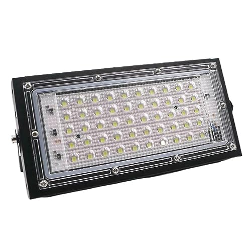 Projecteur LED 50W DELURA blanc froid pour éclairage extérieur de cour