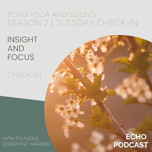 INSIGHT AND FOCUS | Tuesday Check-in