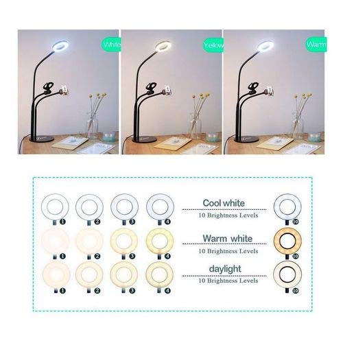 Suporte 3 em 1 para Gravação Tomate MLG-051