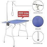 COCGVEL ITORI Pet Dog Grooming Table for Small Dog, Professional 32 in Foldable Portable Drying Table with Adjustable Height Arm&Noose, Maximum Capacity Up to 250lbs