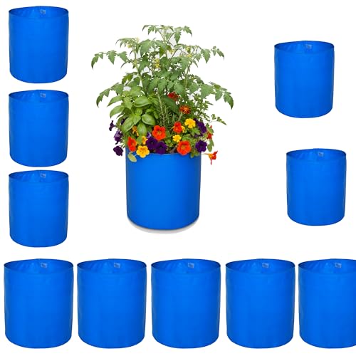 Image of Bio Blooms Round HDPE Plant Grow Bag for Terrace & Kitchen Gardening | Pack of 10 | 9x9 | 350 GSM Heavy Duty Outdoor Grow Bag | Durable Planter for Vegetables, Flowers & Plants | Blue