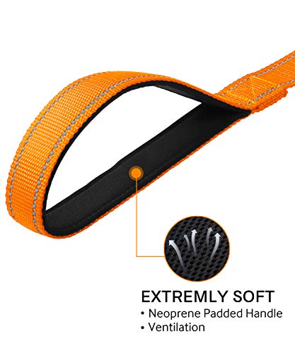 Joytale Hundeleine für Große und Mittelgroße Hunde, Doppelseitig Reflektierende Leine Hund aus Nylon mit Gepolstertem Griff, 1,8m x 2,5cm, Orange