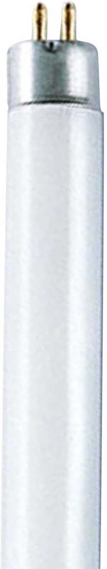 Scharnberg Leuchtstofflampe F8T5/BL 8 W/05 Schwarzlich 44178
