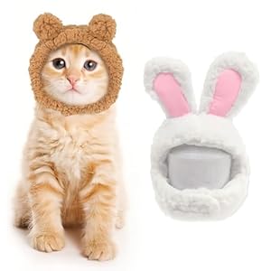 2 PCS Bonnet d&rsquo;hiver Mignon pour Chat, Chapeau de Lapin et d&rsquo;ours, Chaud, Doux et Confortable, Pour petits animaux de compagnie, Vêtement pour chats et chiens