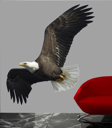 Soaring Eagle Wall Decal Cutout