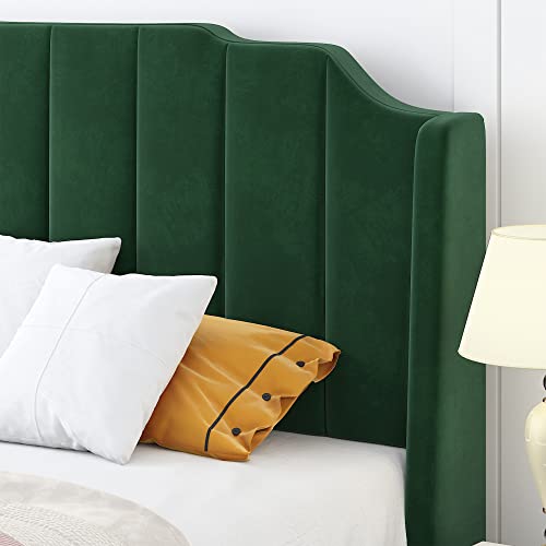 Hoomic Queen Size Upholstered Platform Bed With Curved Velvet Wingback Headboard And Footboard,Solid Wood, No Box Spring Needed, Easy Assembly, Green #TOP3