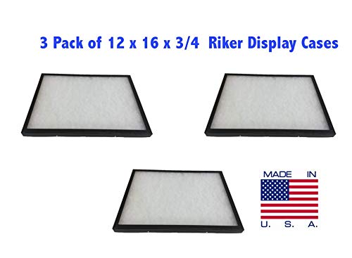 Southern Star 3 Pack of Riker Display Cases 12 x 16 x 3/4