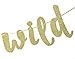 Qttier Jungle Theme Birthday Banner, Gold, 117
