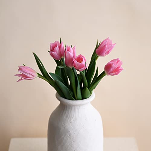 +hana（タスハナ）+act for flowersプラン