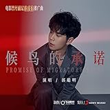 The Promise of Migratory Birds(Interlude of Movie Good Night Beijing)
