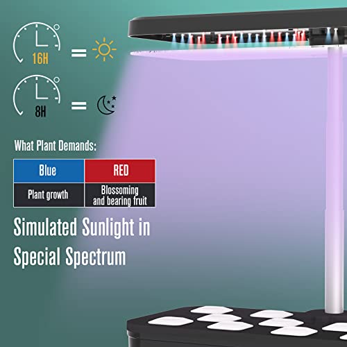 COLIBEN 12 Pods Hydroponics Growing System,Indoor Garden with 36W Full Spectrum LED Grow Light, Timer,18.5" Adjustable Height, Silent Pump,4.5L Water Tank,Herb Garden Germination Kit (2nd Generation) - Image 4
