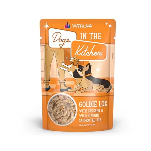 Weruva Dogs in The Kitchen, Goldie Lox with Chicken & Wild-Caught Salmon Wet Dog Food, 2.8oz Pouch (Pack of 12)