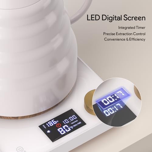Tetera eléctrica cuello de cisne 0.9L control temperatura digital miniatura 7