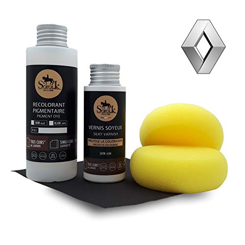 SOFOLK Kit Peinture Cuir/Simili-Cuir/skaï pour Renault : siège, Volant, Garnitures, accoudoirs, etc (Renault Beige Alpaga (Scenic 3))
