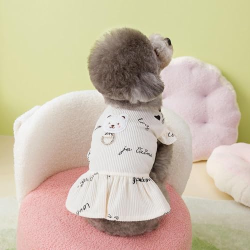  s[X t ̕ ybg  s[X t Pl  s[X ybg  s[X ʋC  y ^ L ybg ĕ ybg XJ[g   gCv[h LOBe ʐ^ o U 