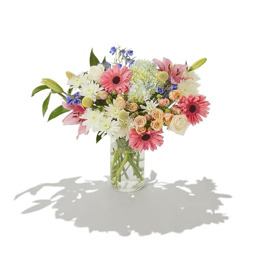 Whole Foods Market, Vivid Bouquet – Fresh Flower Delivery | Farm-Fresh Hand-Tied Flowers for Mom, Wife, Girlfriend, Birthday, Anniversary, Just Because | Long-Lasting Floral Arrangement