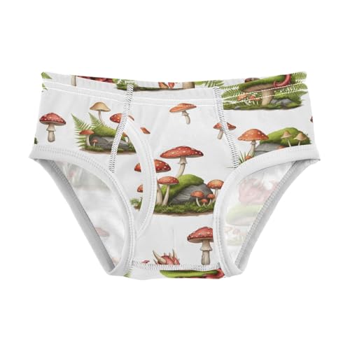 CHIFIGNO Boys Underwear Cotton Briefs Printed Soft Toddler Boys Brief Underwear, Cute Dragon Mushroom White