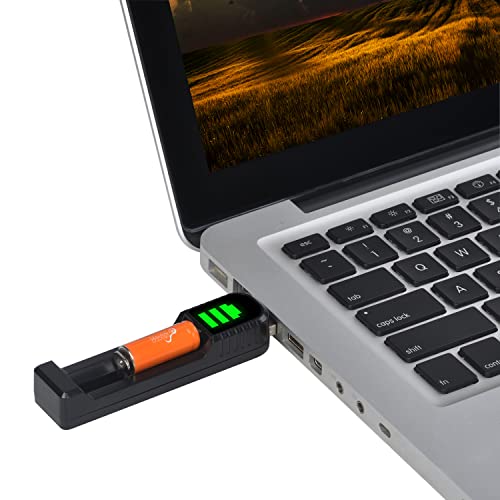 Batteria LR1 Pickle Power 4 pezzi E90 N LR1 MN9100...