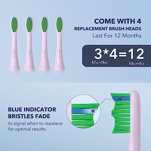 Image of ARISSON Sonic Electric Toothbrush for Adults and Kids, 40,000 VPM Power Toothbrush, 1.5H Fast Charge Ultrasonic Electric Toothbrushes with 2 Minutes Smart Timer, Cotton Candy