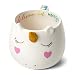 White Ceramic Coffee or Tea Mugs: Tri-Coastal Design Novelty Unicorn Coffee Mug with Rainbow Printed Handle, Fun Unicorn Horn and Printed Saying - 14 Fluid Ounce Large, Cute Handmade Cup