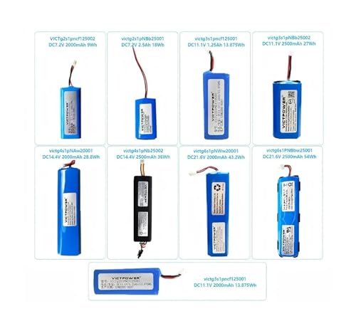 Batterie lithium 21,6 V robuste et durable 2500 mAh