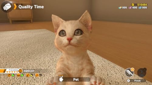 Nintendo Little Friends: Dogs and Cats Standard Multilingue Nintendo Switch Neuf - vue 7