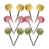 VICASKY 12Pcs Natural Bunny Chew for Rabbits and Guinea Pigs Molar Grinding Lollipop Treats with Rose and