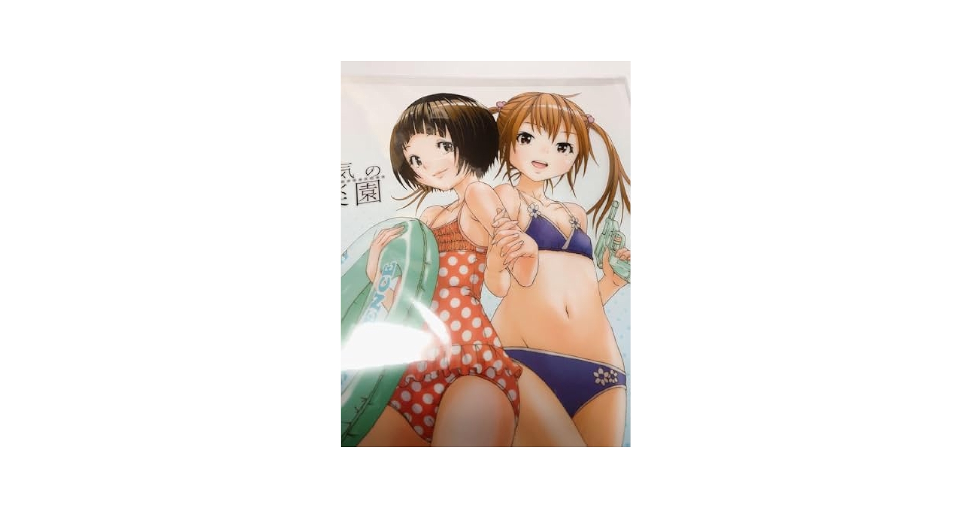 送料無料★6枚組 水着 A4クリアファイル/物語シリーズ3 1割引送料無料6枚組 水着 A4クリアファイル/物語シリーズ3