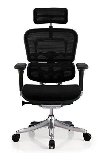 エルゴヒューマン プロ オフィスチェア ブラック ヘッドレスト付き 3Dファブリックメッシュ ergohuman PRO EHP-HAM KMD-31