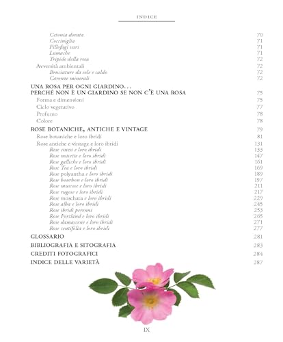 Rose Antiche E Vintage. Ediz. A Colori - 8