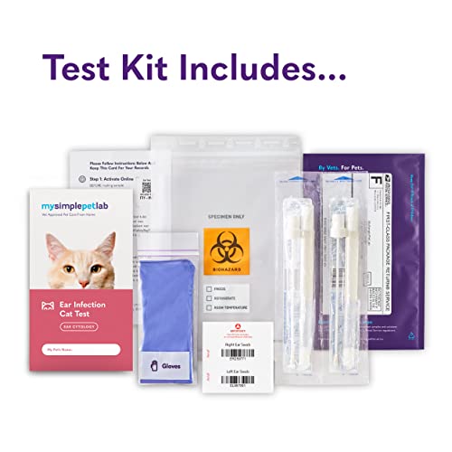 MySimplePetLab Cat Ear Infection Test Kit | Fast and Accurate Detection of Cat Ear Yeast and and other Ear Irritations | Reliable Mail-in Ear Care Cat Test Kit for Smelly, Itchy, or Sore Ears MySimplePetLab Cat Ear Infection Test Kit | Fast and Accurate Detection of Cat Ear Yeast and and other Ear Irritations | Reliable Mail-in Ear Care Cat Test Kit for Smelly, Itchy, or Sore Ears