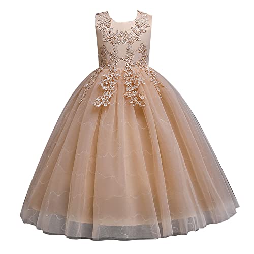 Flower Girl Lace Dress for Kids Wedding Bridesmaid Pageant Party Formal Long Gown Tulle Bow Dresses