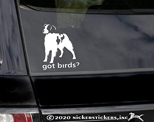Got Birds? ~ American Brittany Dog Vinyl Window Auto Decal Sticker #TOP1