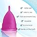 Blossom Menstrual Cup, Say No to Tampons | Get Blossom Cups for Menstrual Days| Period Cup, Reusable Menstrual Cup, Silicone Cup (Large Menstrual Cup, Violet)