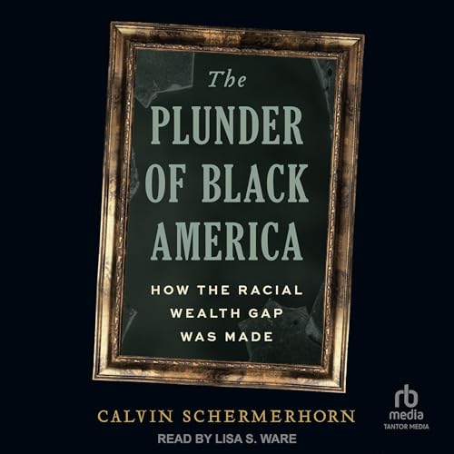 Enjoy The Plunder of Black America from Calvin Schermerhorn episode artwork