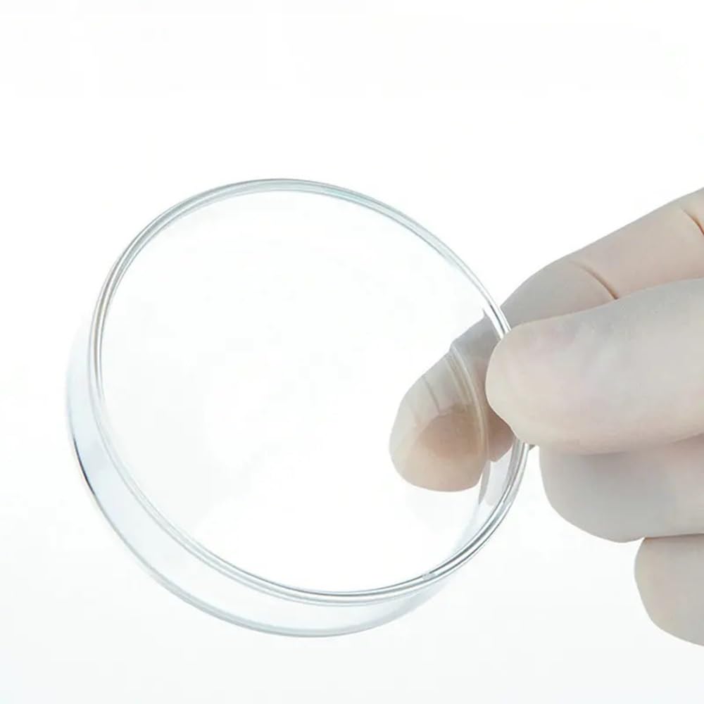 Vetreria da laboratorio Piastre di coltura in vetro borosilicato ad alto tenore di carbonio for laboratorio, piastre di Petri da 35/60/75/90/100/120/150/180/200 mm, vetreria for esperimenti(150mm 1pcs